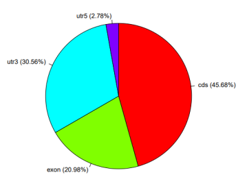 Distribution of rG4-enriched peaks across transcript regions