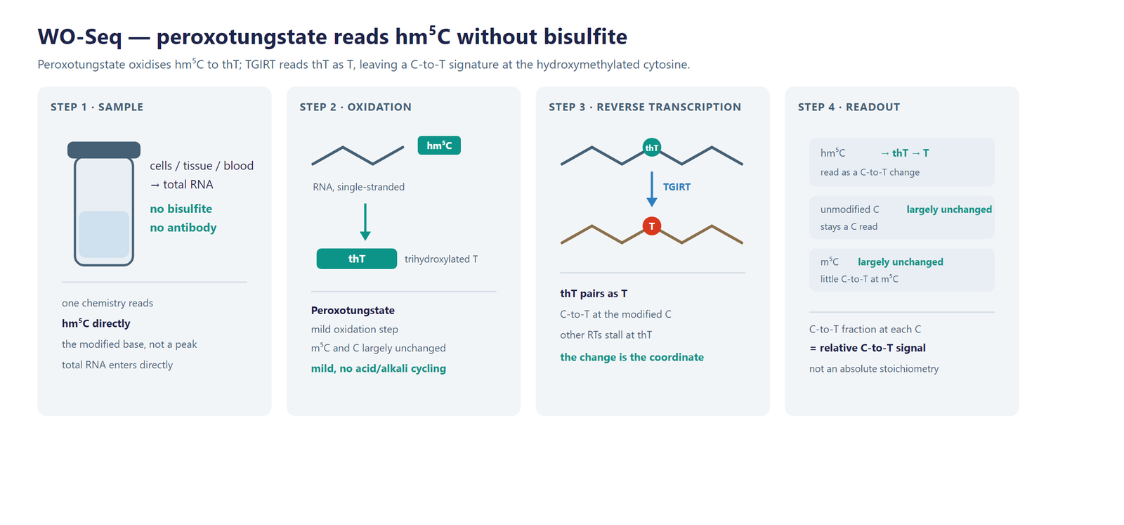 WO-Seq hm5C detection scheme