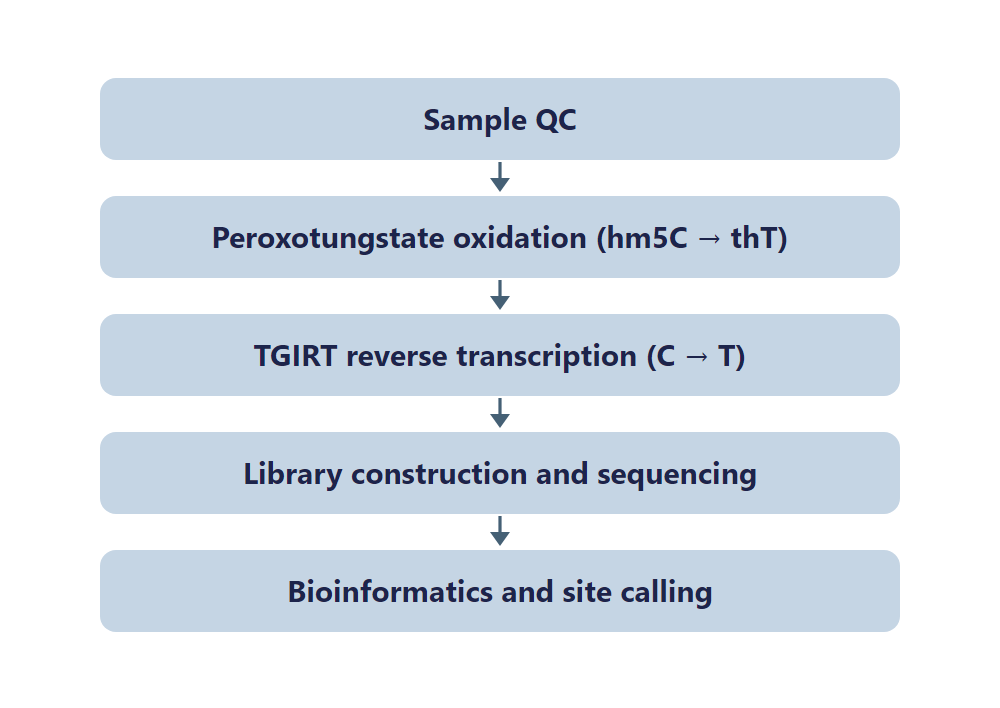 WO-Seq workflow