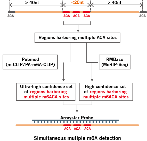 Multi_ACA_probes