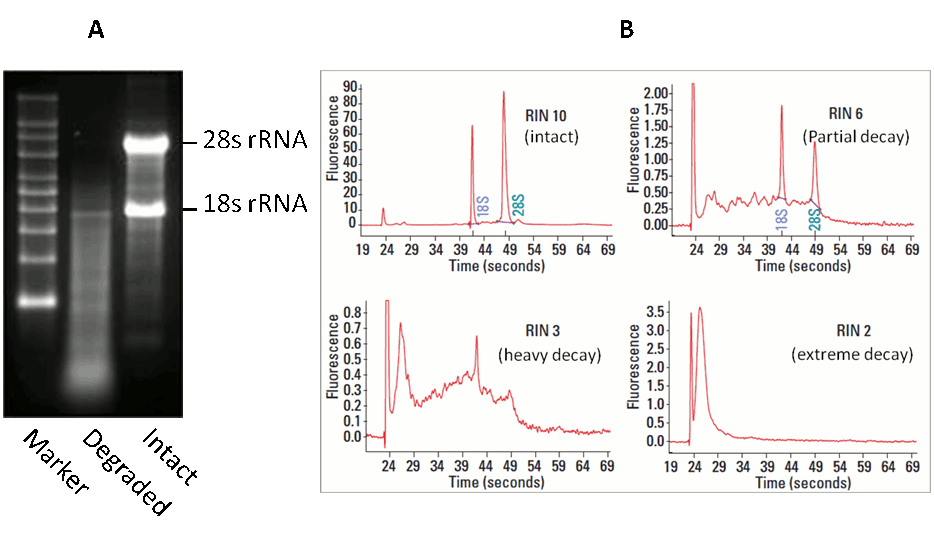 RNA-QC