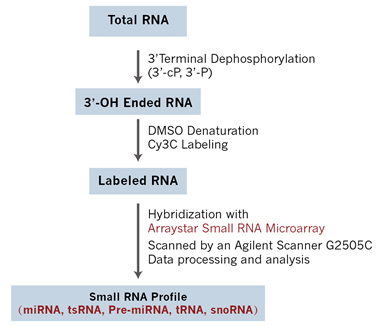 Small_RNA_Array_Workflow