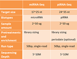 miRNA-piRNA-seq4