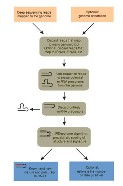 sequencing_data_analysis-10