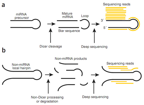 sequencing_data_analysis-9