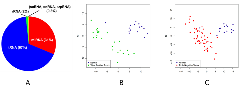 tRF___tiRNA_Small_noncoding_RNAs_07