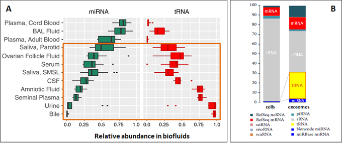 tRNA_fig6