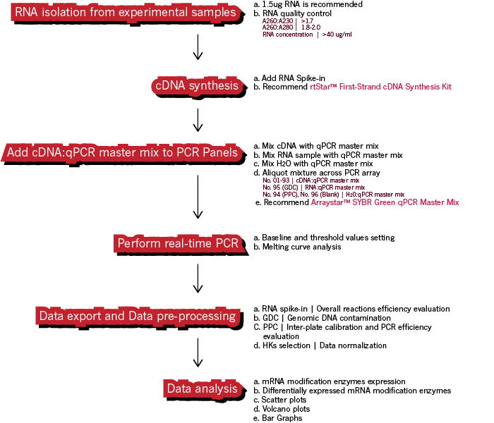 AS-NM-003-overview-protocol