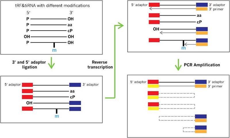 tRF_tiRNA_Pretreatment2