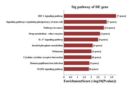 Pathway_EnrichmentScore