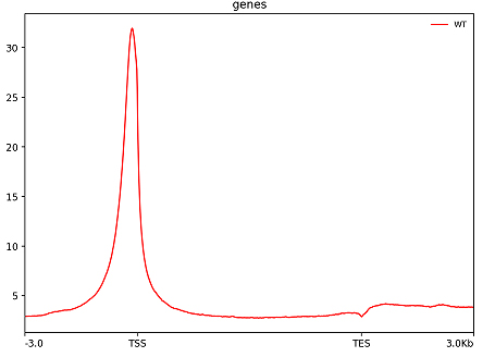 R-loop_cut_tag_service-2.